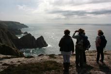 Exploring the West Coast © DL Taylor